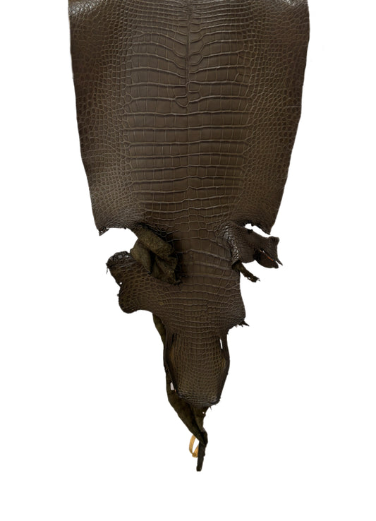39 cm Grade 2/3 Olive Matte Wild American Alligator Leather - Tag: LA16-0043163