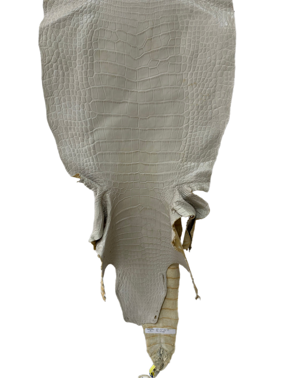 47 cm Grade 3/4 Dune Matte Wild American Alligator Leather - Tag: LA25-0010665