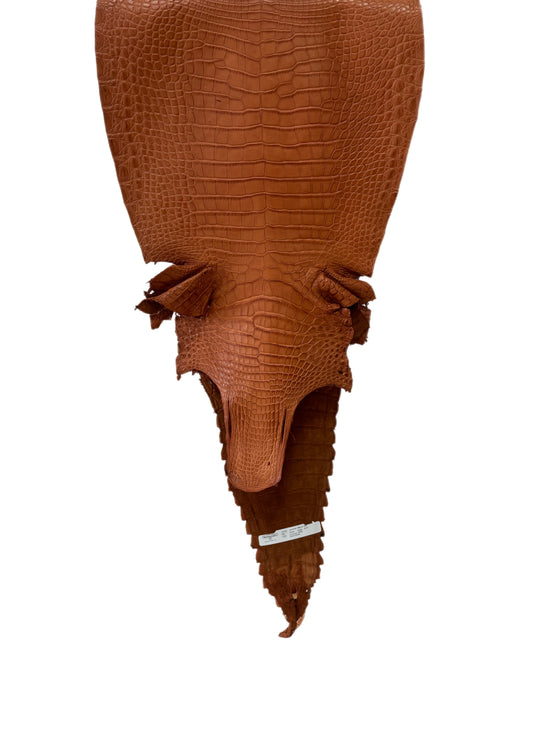 38 cm Grade 3/4 Cognac Matte Farm-Raised American Alligator Leather - Tag: FL17-0052740