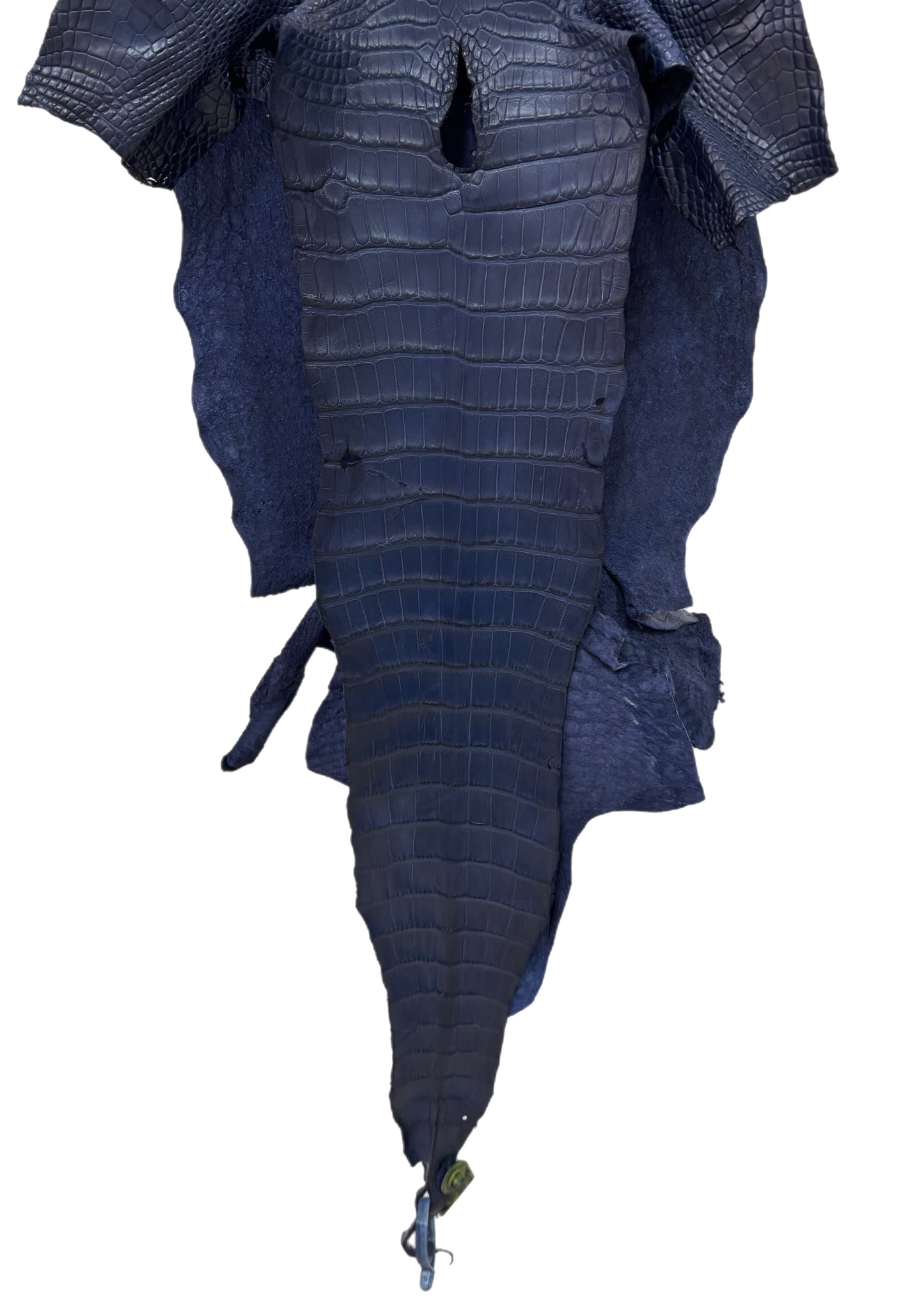 36 cm Grade 1/2 Navy Blue Desert Wild American Alligator Leather - Tag: LA17-0051152
