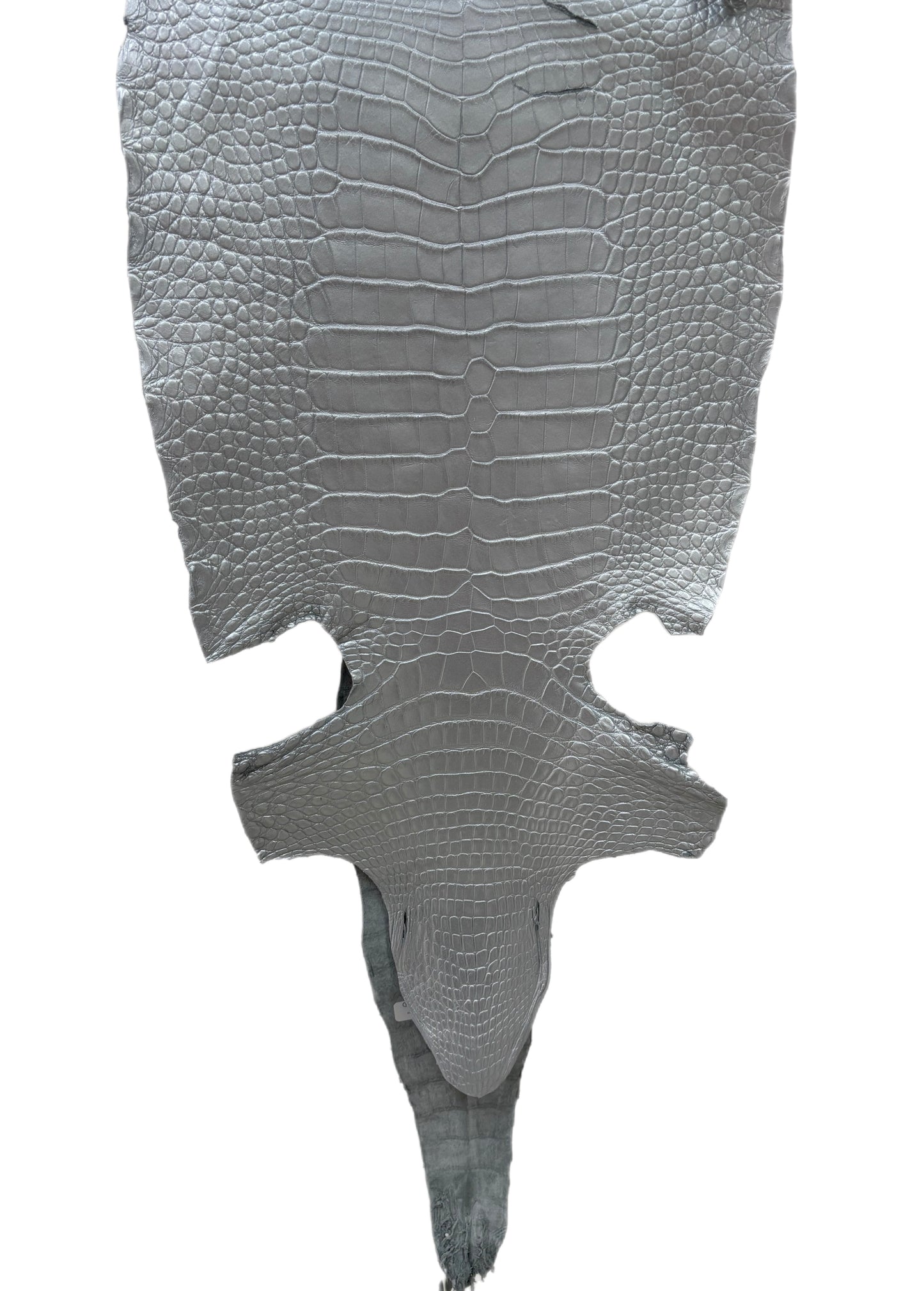 34 cm Grade 2/3 Silver Metallic Wild American Alligator Leather - Tag: LA23-0022102