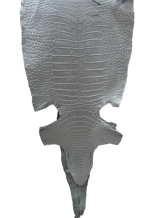 34 cm Grade 2/3 Silver Metallic Wild American Alligator Leather - Tag: LA23-0022102