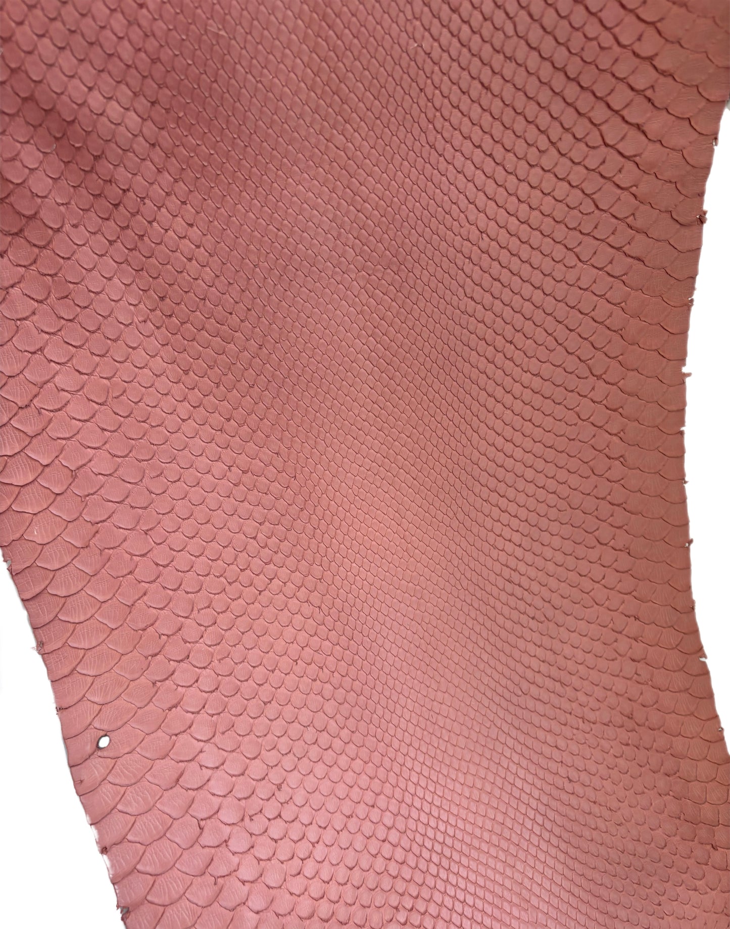 2.85 M Front Cut Dusty Pink Matte Python Leather