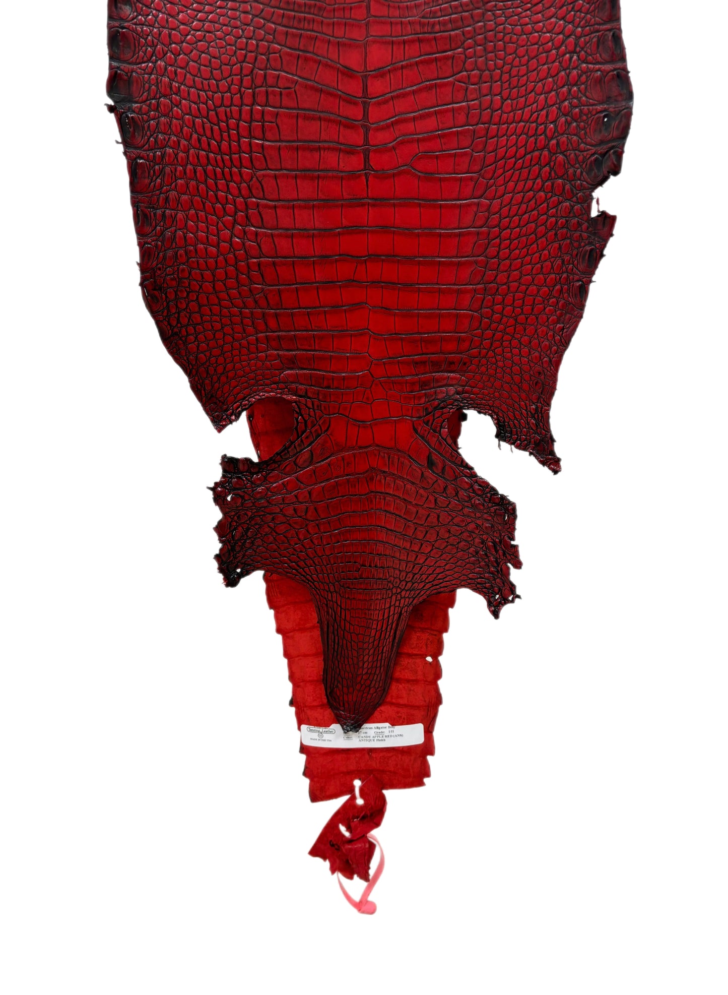 27 cm Grade 1/2 Candy Apple Red Antique Farm-raised American Alligator Leather - Tag: FL21-0024057
