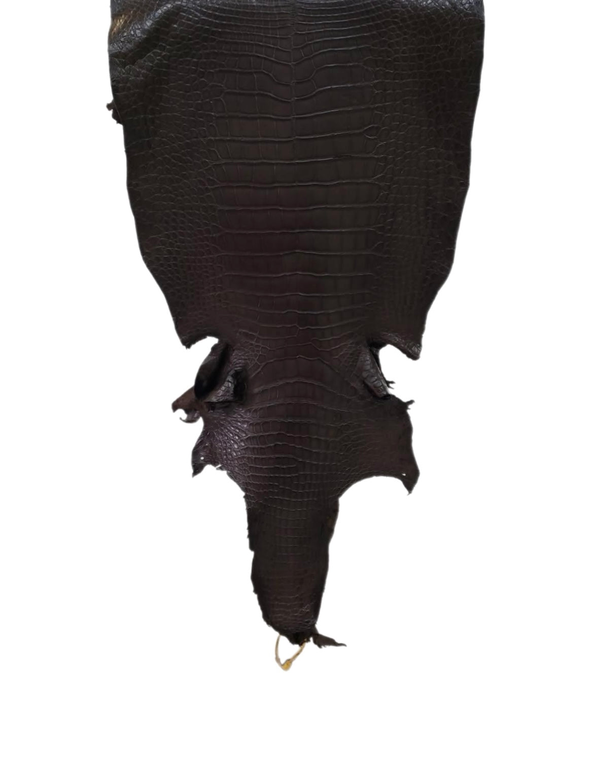 45 cm Grade 2/3 Kralle Brown Matte Farm American Alligator Leather - Tag: LA23-0001219