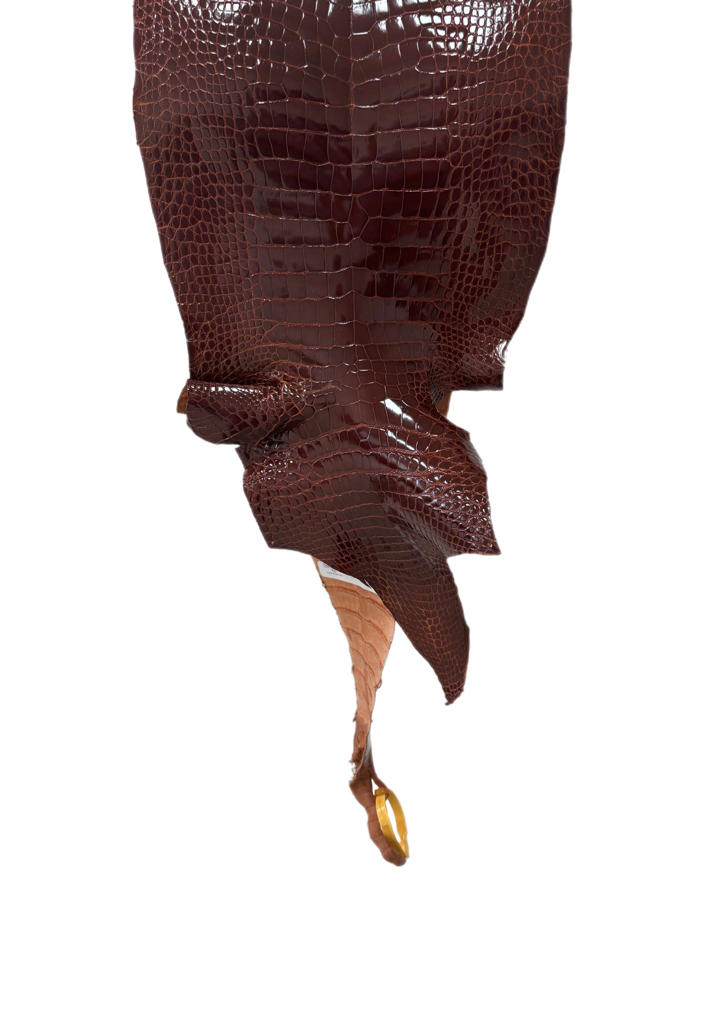 28 cm Grade 2/3 Peanut Glazed Wild American Alligator Leather - Tag: LA23-0050106