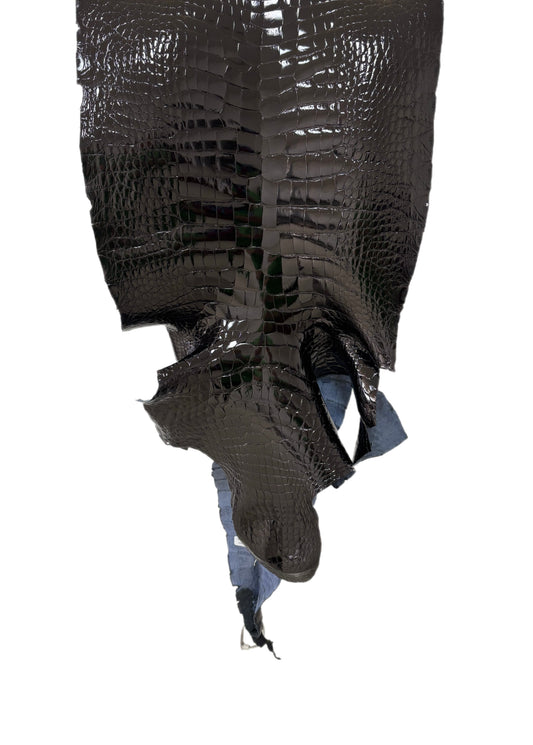 43 cm Grade 1/2 Black Glazed Wild American Alligator Leather - Tag: LA23-0022541