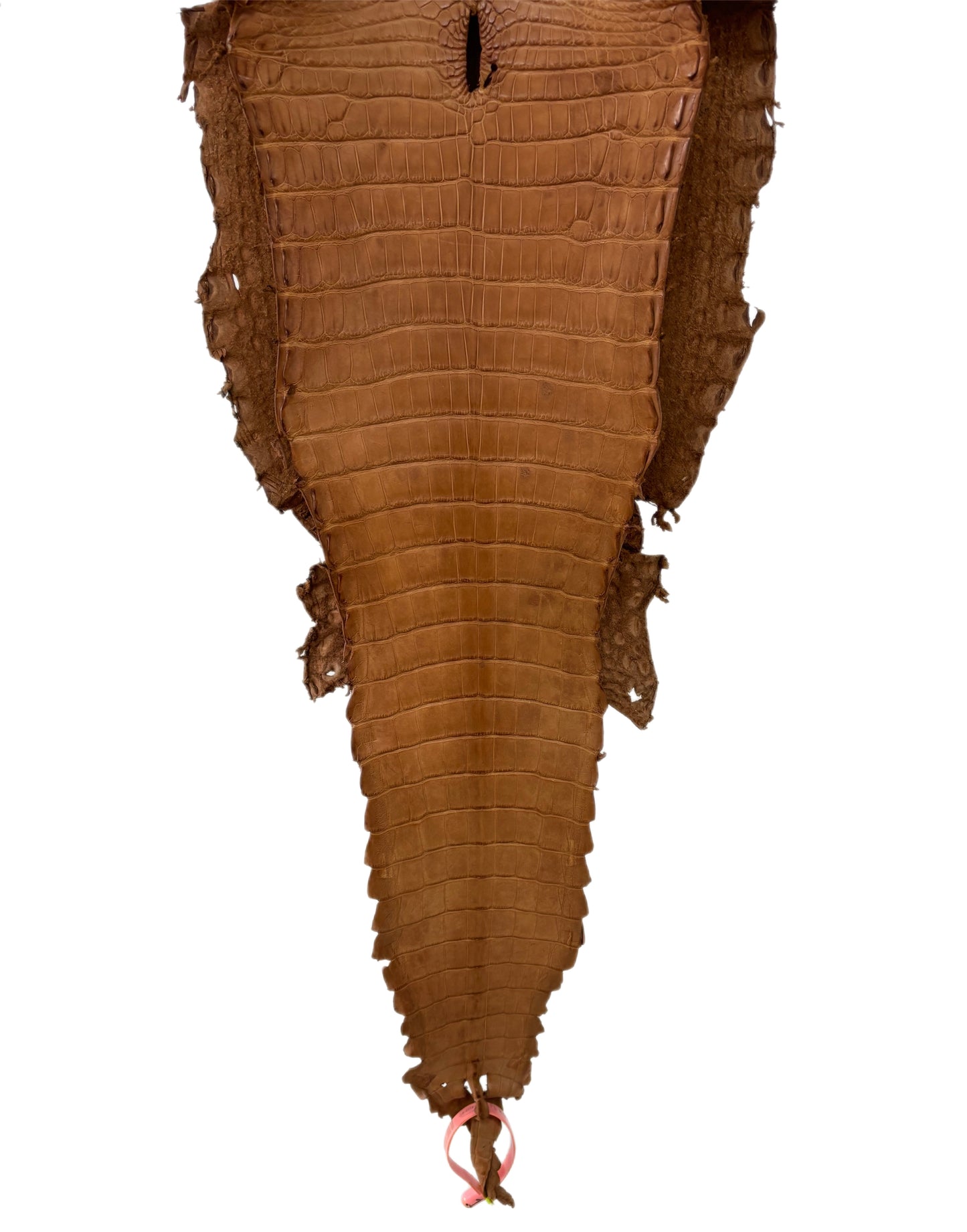 26 cm Grade 4/5 Almond Matte Farm Raised American Alligator Leather - Tag: FL21-0024974