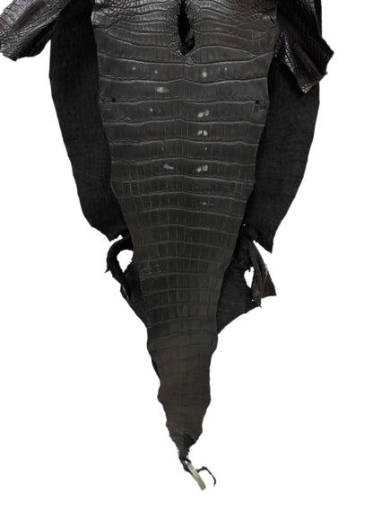 43 cm Grade 3/4 Black Matte Wild American Alligator Leather - Tag: LA23-0003714