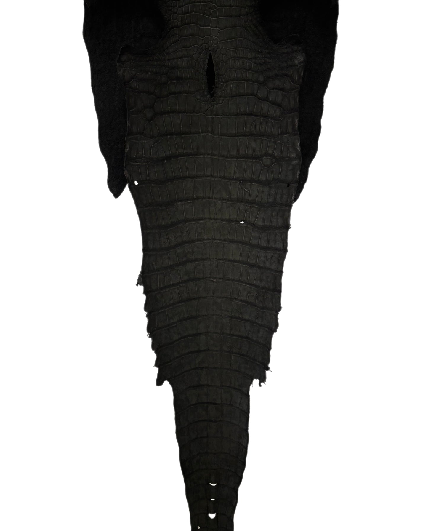 40 cm Grade 3/4 Black Nubuck Wild American Alligator Leather - Tag: LA23-0023030