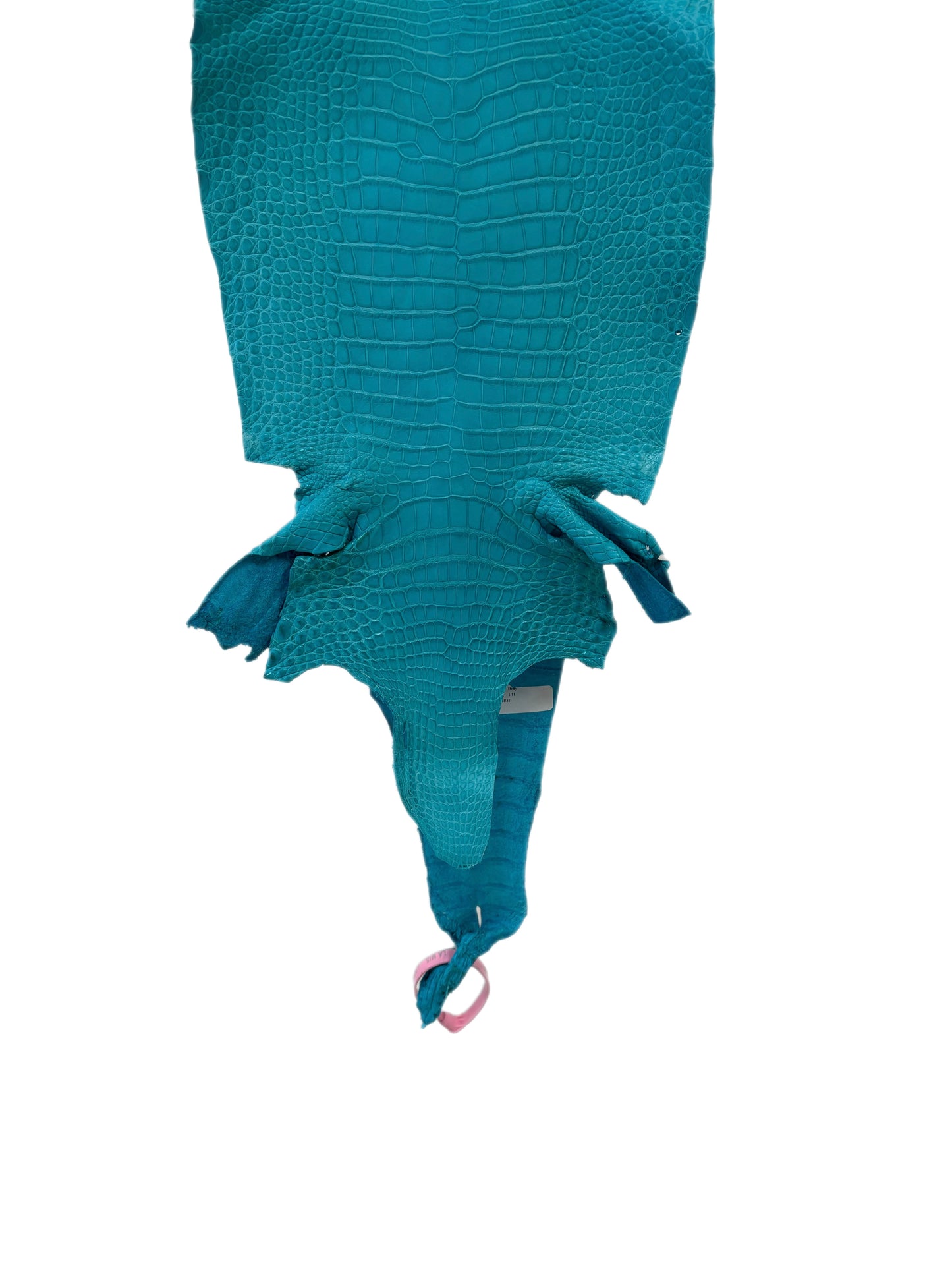 25 cm Grade 1/2 Turquoise Matte Farm-Raised American Alligator Leather - Tag: LA24-0228900