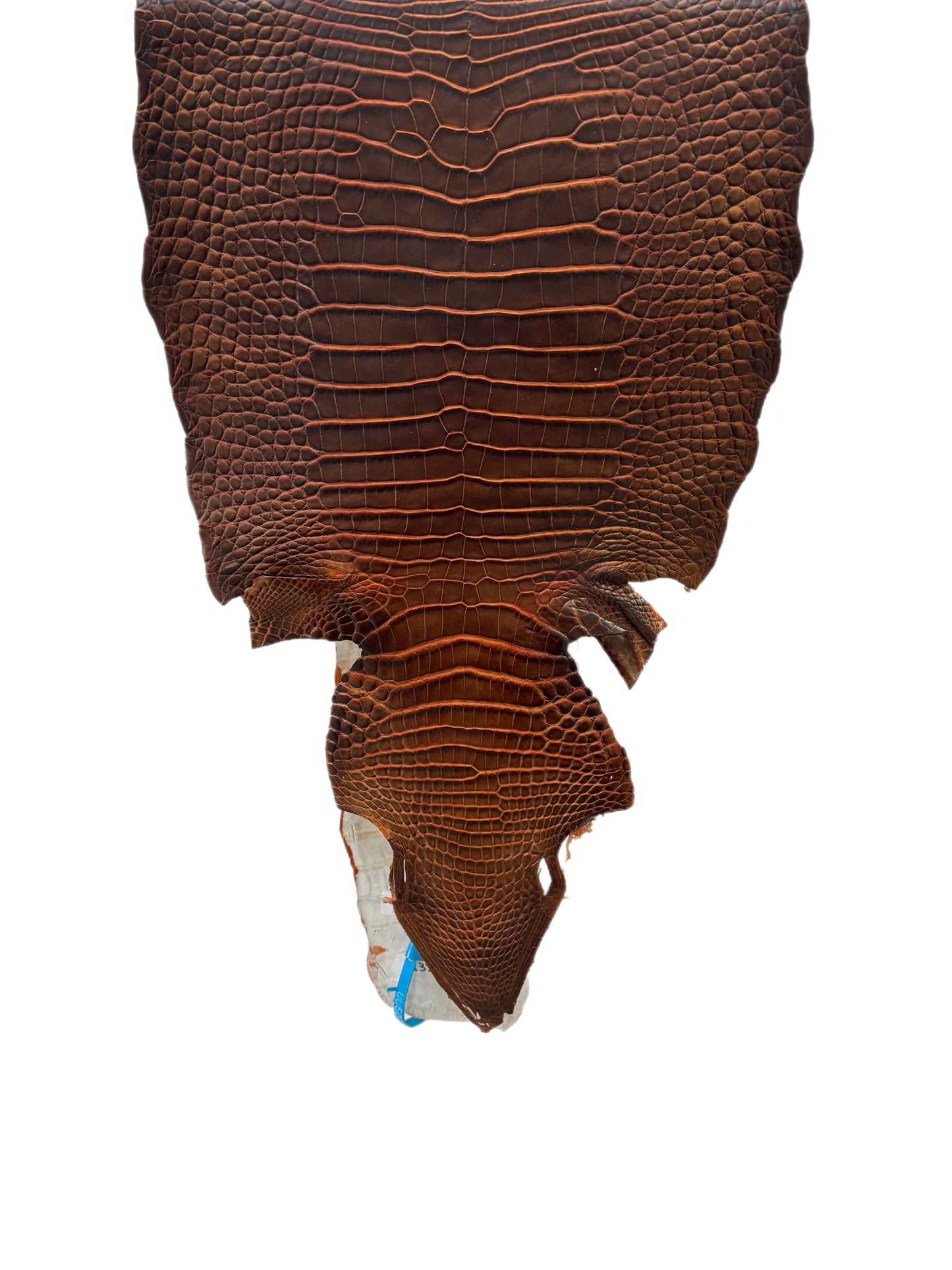 35 cm Grade 1/2 Sienna Matte Wild American Alligator Leather - Tag: ESRE-0050794