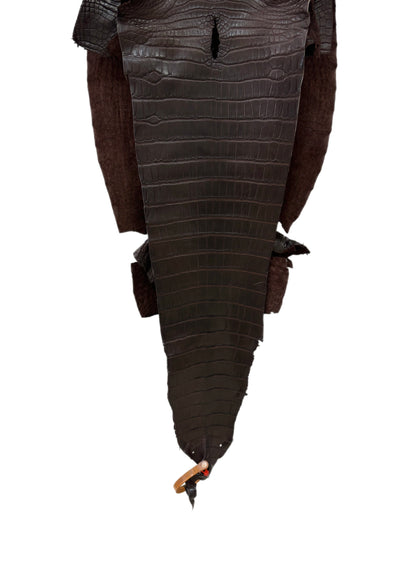 31 cm Grade 2/3 Chocolate Matte Farm-Raised American Alligator Leather - Tag: LA23-0531983