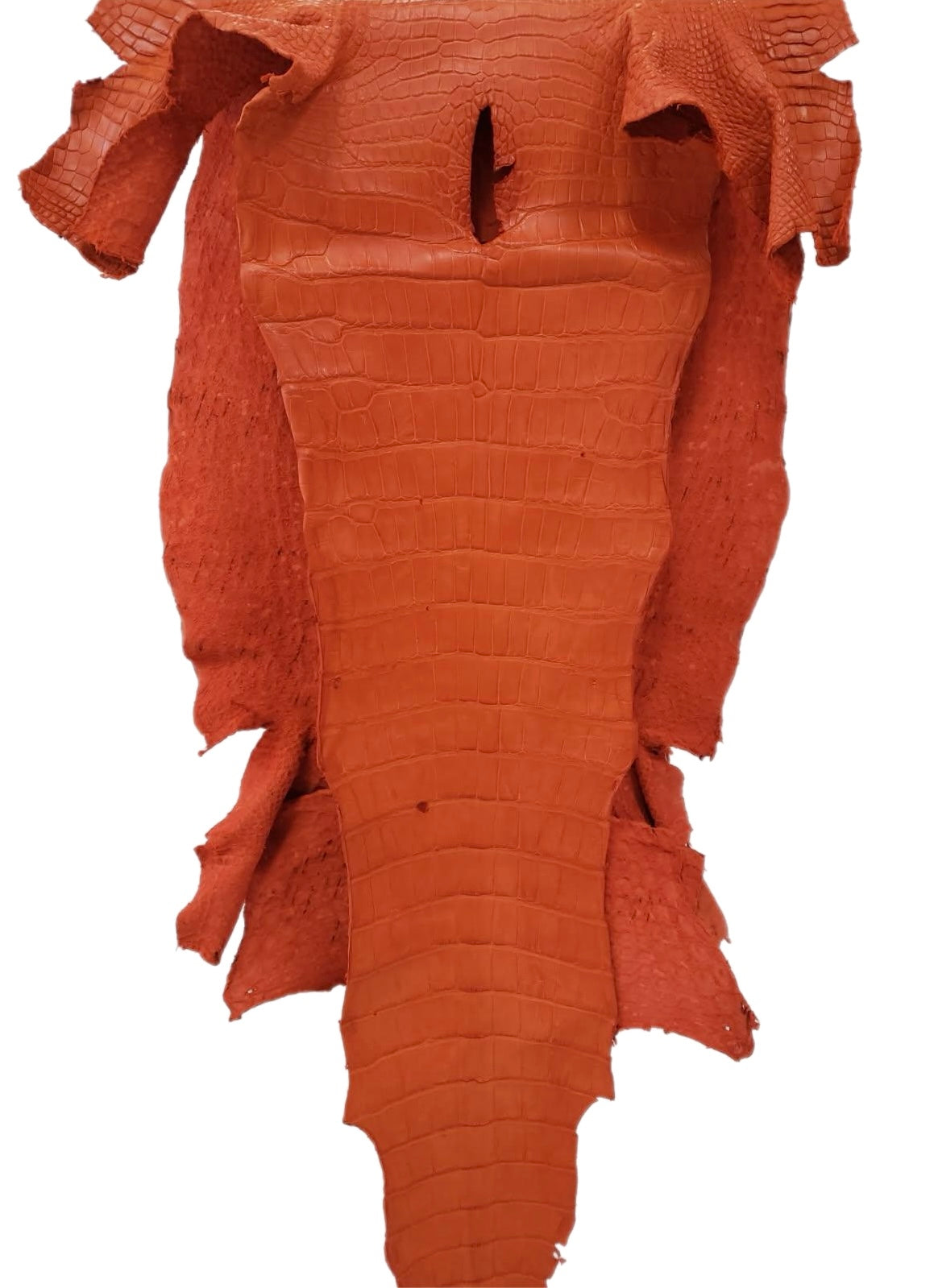 45 cm Grade 3/4 Orange Matte Farm-Raised American Alligator Leather - Tag: LA23-0004500