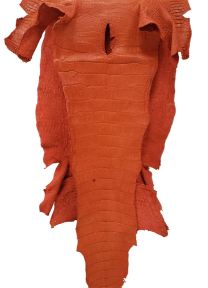 45 cm Grade 3/4 Orange Matte Farm-Raised American Alligator Leather - Tag: LA23-0004500