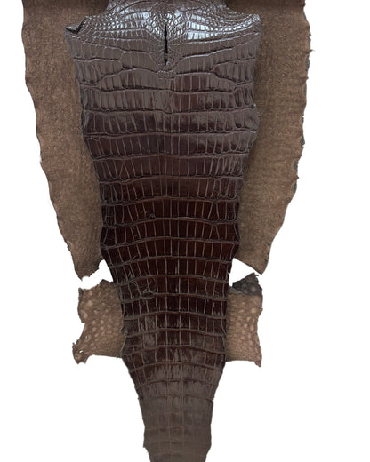 48 cm Grade 3/4 Chocolate Millennium Wild American Alligator Leather - Tag: LA22-0003198