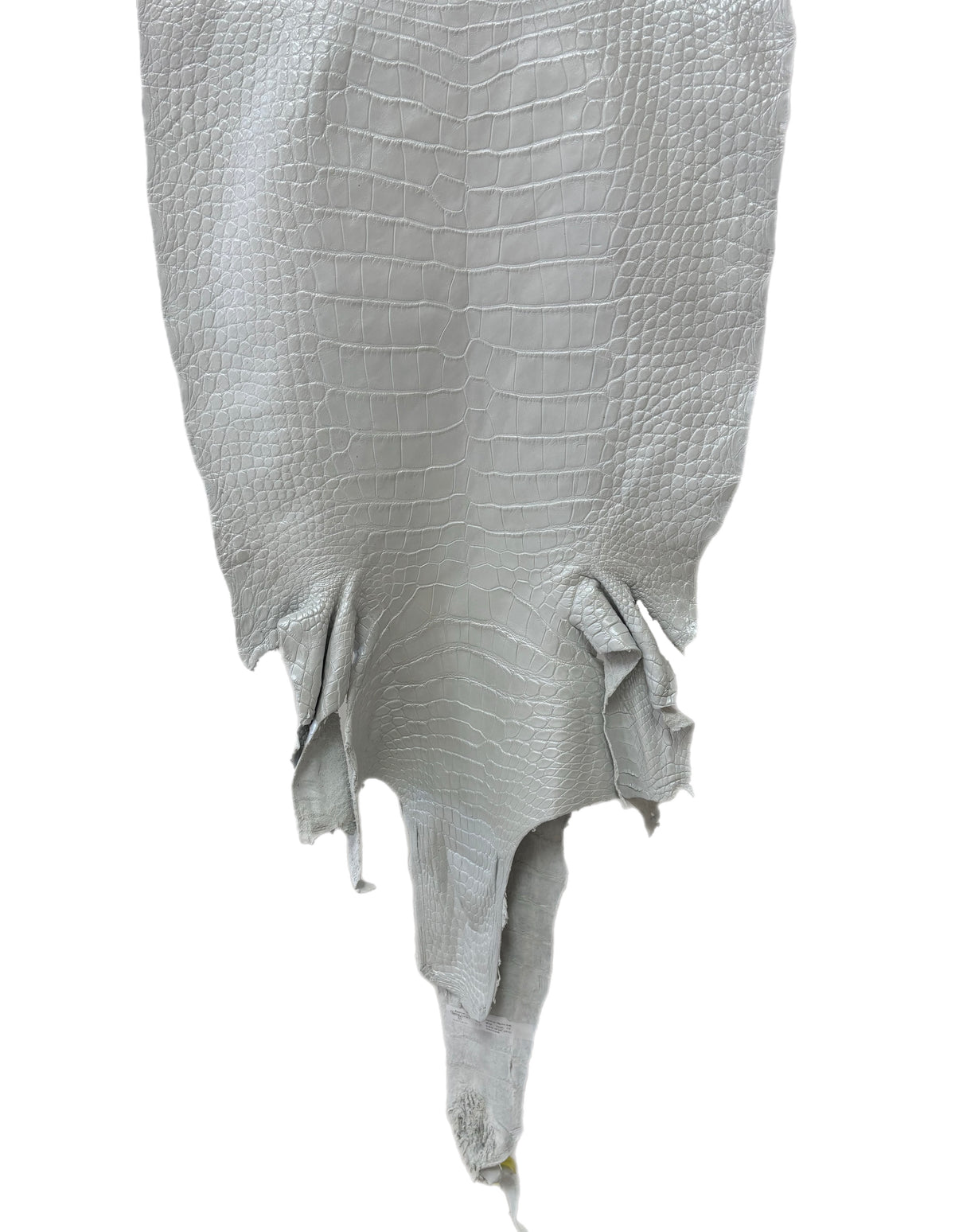 48 cm Grade 1/2 White Pearl Matte Wild American Alligator Leather - Tag: LA25-0012326