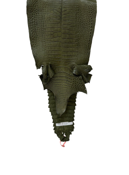 30 cm Grade 1/2 Olive Matte Farm-Raised American Alligator Leather - Tag: FL21-0024379
