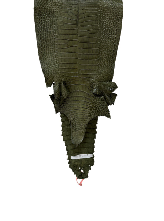 30 cm Grade 1/2 Olive Matte Farm-Raised American Alligator Leather - Tag: FL21-0024379