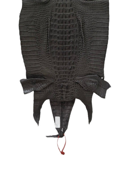 27 cm Grade 2/3 Charcoal Grey Matte Farm-Raised American Alligator Hornback Leather - Tag: LA04-0238697