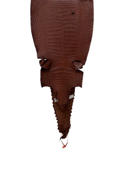 23 cm Grade 2/3 Italian Gold Matte Farm-Raised American Alligator Leather - Tag: FL21-0025066