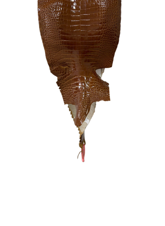 23 cm Grade 1/2 Cognac Glazed Farm-Raised American Alligator Leather - Tag: FL21-0024583