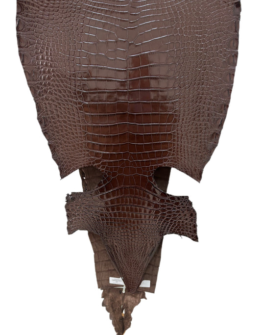 37 cm Grade 1 Chocolate Millennium Farm Raised American Alligator Leather - Tag: FL17-0052689