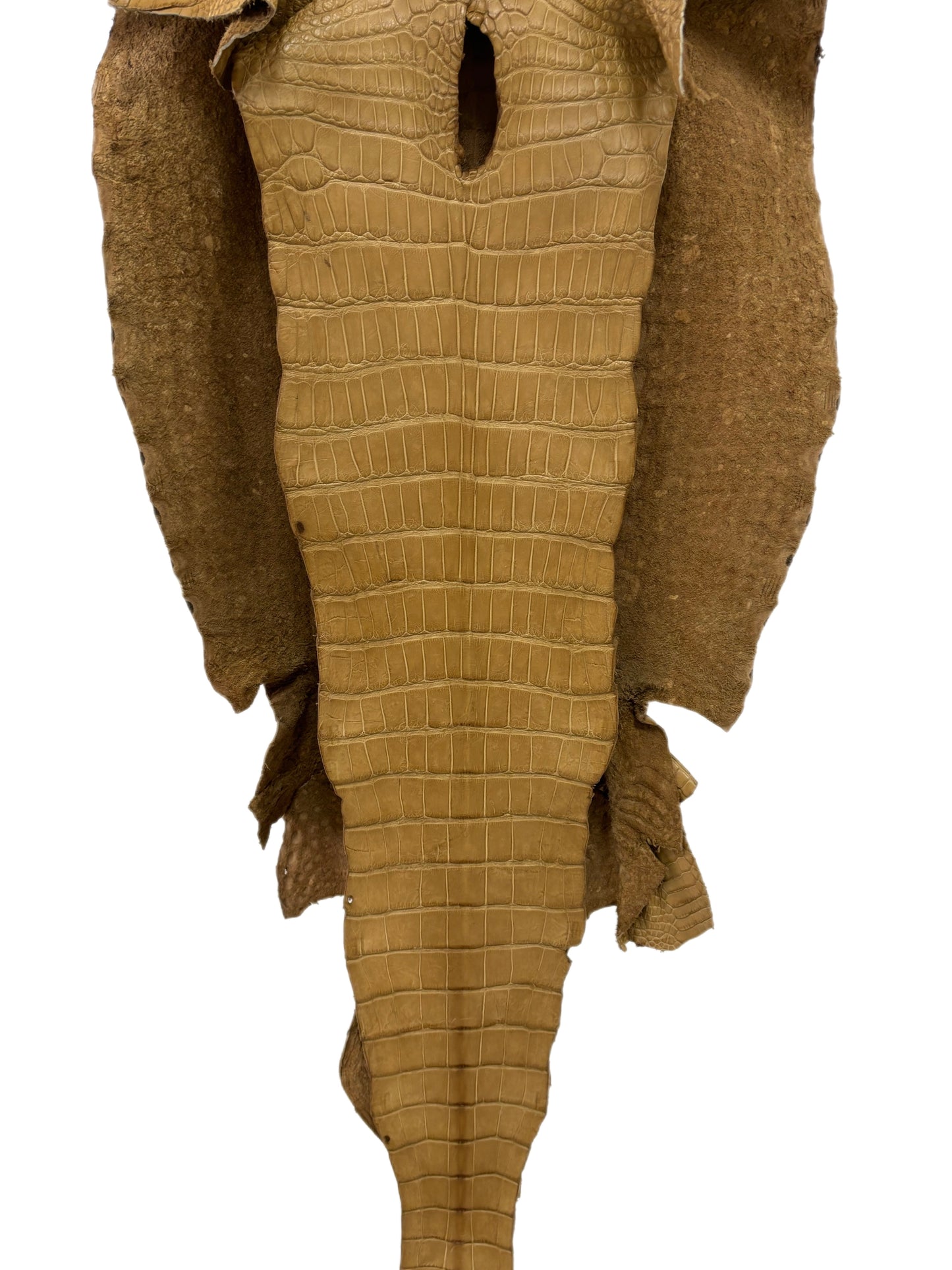 46 cm Grade 2/3 Antique Saddle Matte Wild American Alligator Leather - Tag: LA16-0032467