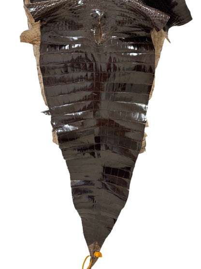 48 cm Grade 2/3 Sport Rust Brown Glazed Farm-Raised American Alligator Leather - Tag: GA13-0024494