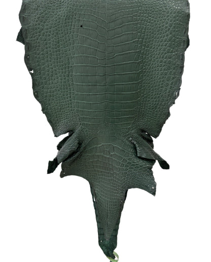 37 cm Grade 2/3 Forest Green Matte Wild American Alligator Leather - Tag: LA23-0050113