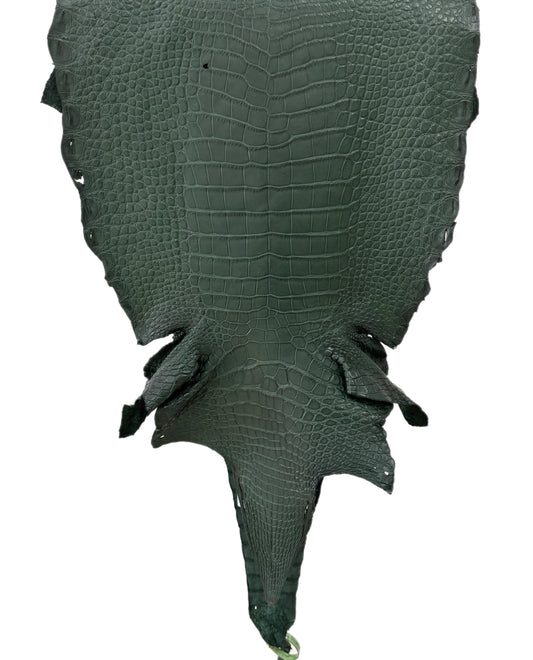 37 cm Grade 2/3 Forest Green Matte Wild American Alligator Leather - Tag: LA23-0050113
