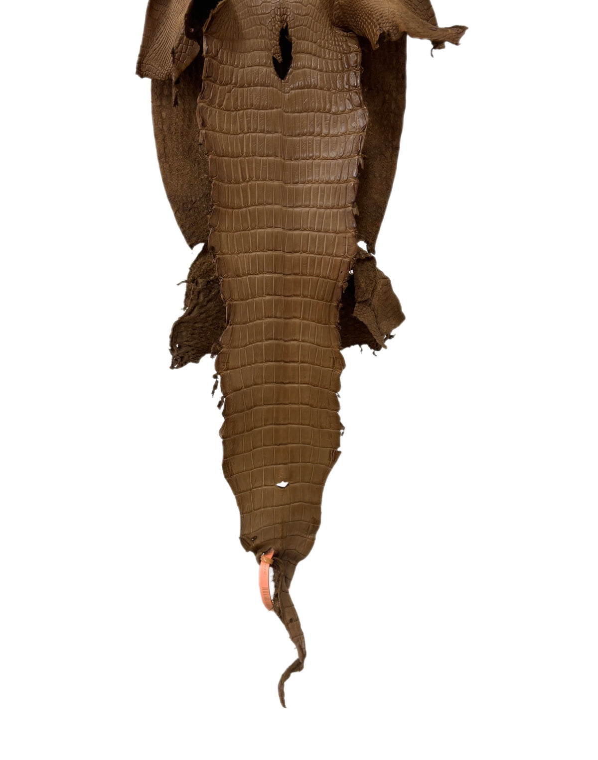 23 cm Grade 2/3 Cammello Matte Farm-Raised American Alligator Leather - Tag: LA24-0228927