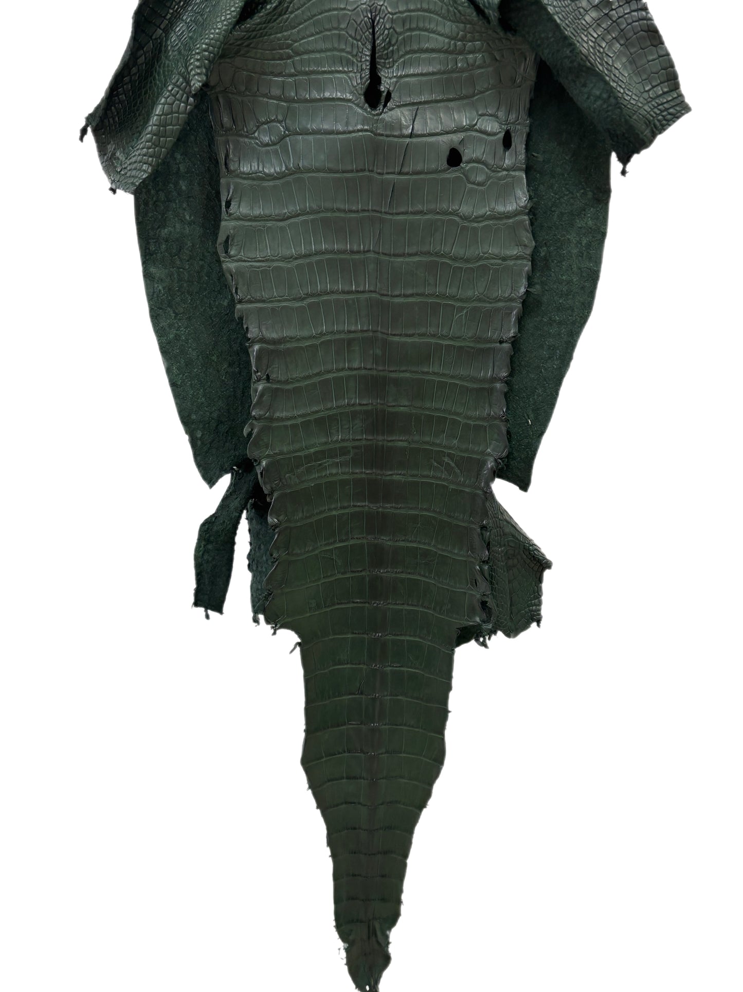 37 cm Grade 2/3 Forest Green Matte Wild American Alligator Leather - Tag: LA23-0049941
