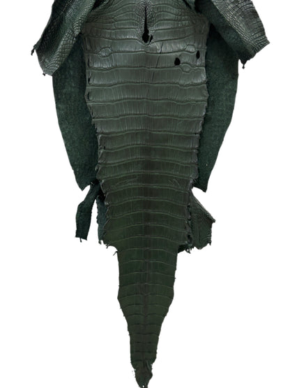 37 cm Grade 2/3 Forest Green Matte Wild American Alligator Leather - Tag: LA23-0049941