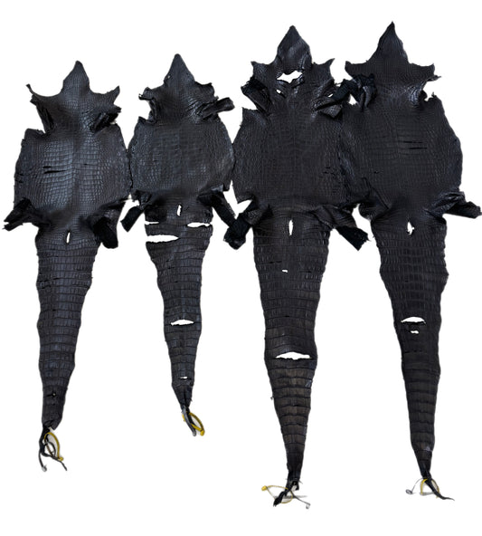 Oops Skins | 28-46 Cm Low Grade Black Matte Nile Crocodile