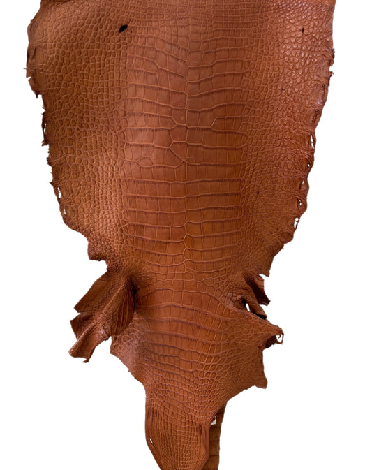 44 cm Grade 4/5 Cognac Matte Wild American Alligator Leather - Tag: LA23-0002174