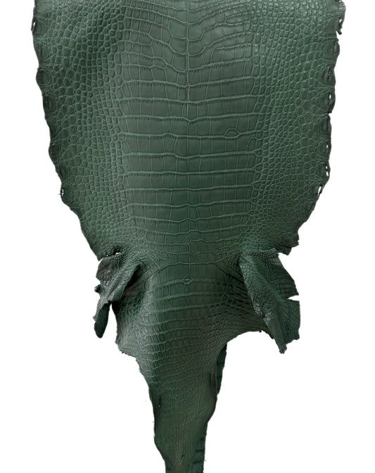 37 cm Grade 2/3 Forest Green Matte Wild American Alligator Leather - Tag: LA23-0017633
