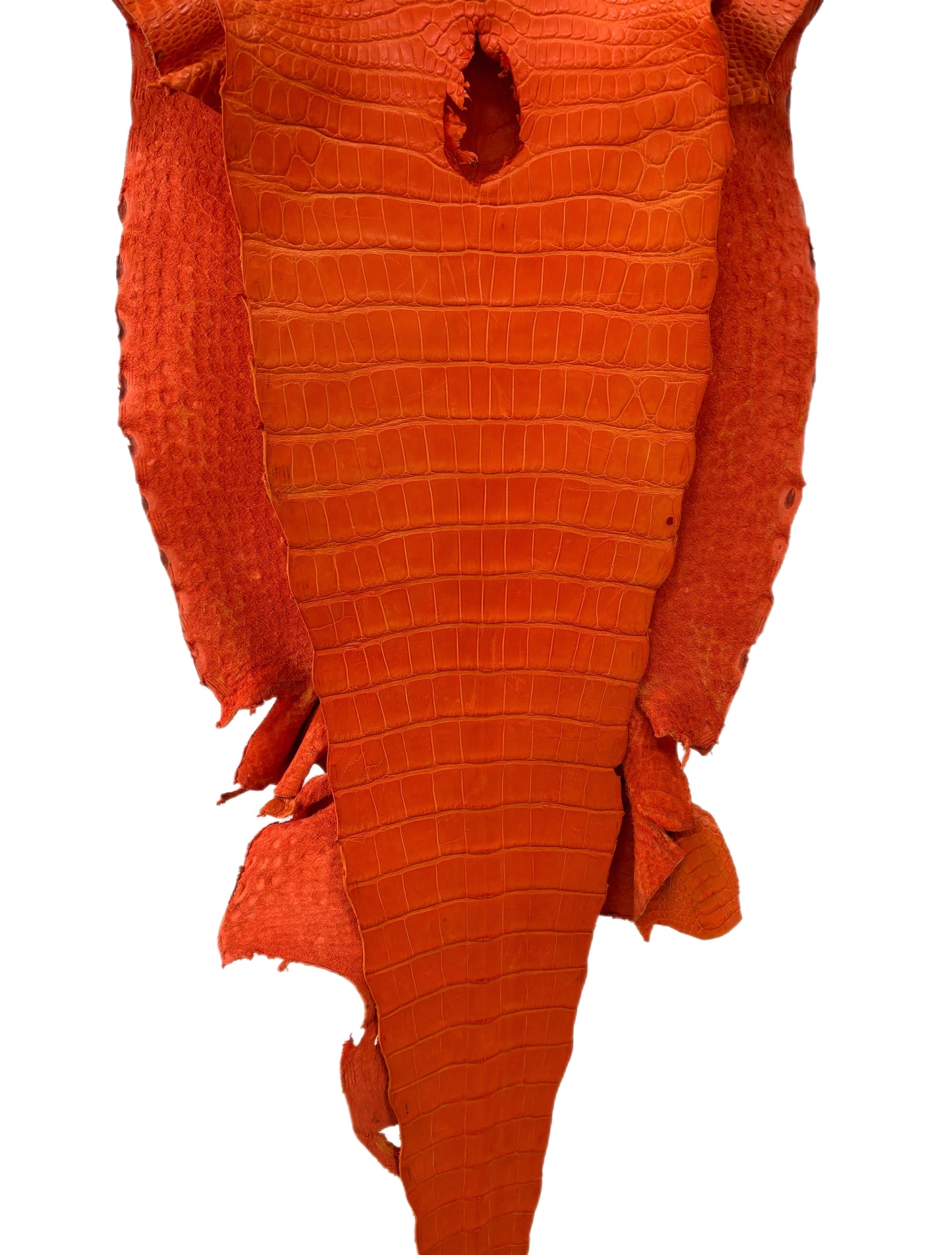 44 cm Grade 4/5 Orange Primavera Matte Wild American Alligator Leather - Tag: LA13-0016482