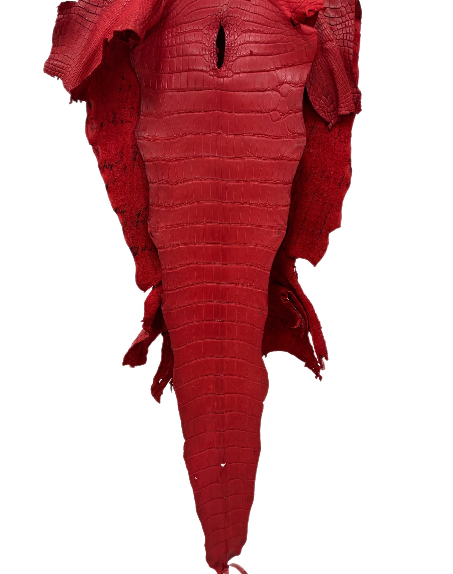 37 cm Grade 3/4 Candy Apple Red Matte Wild American Alligator Leather - Tag: LA23-0003700