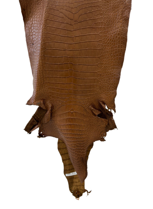 45 cm Grade 2/3 Kango Tabac Matte Wild American Alligator Leather - Tag: LA23-0005911