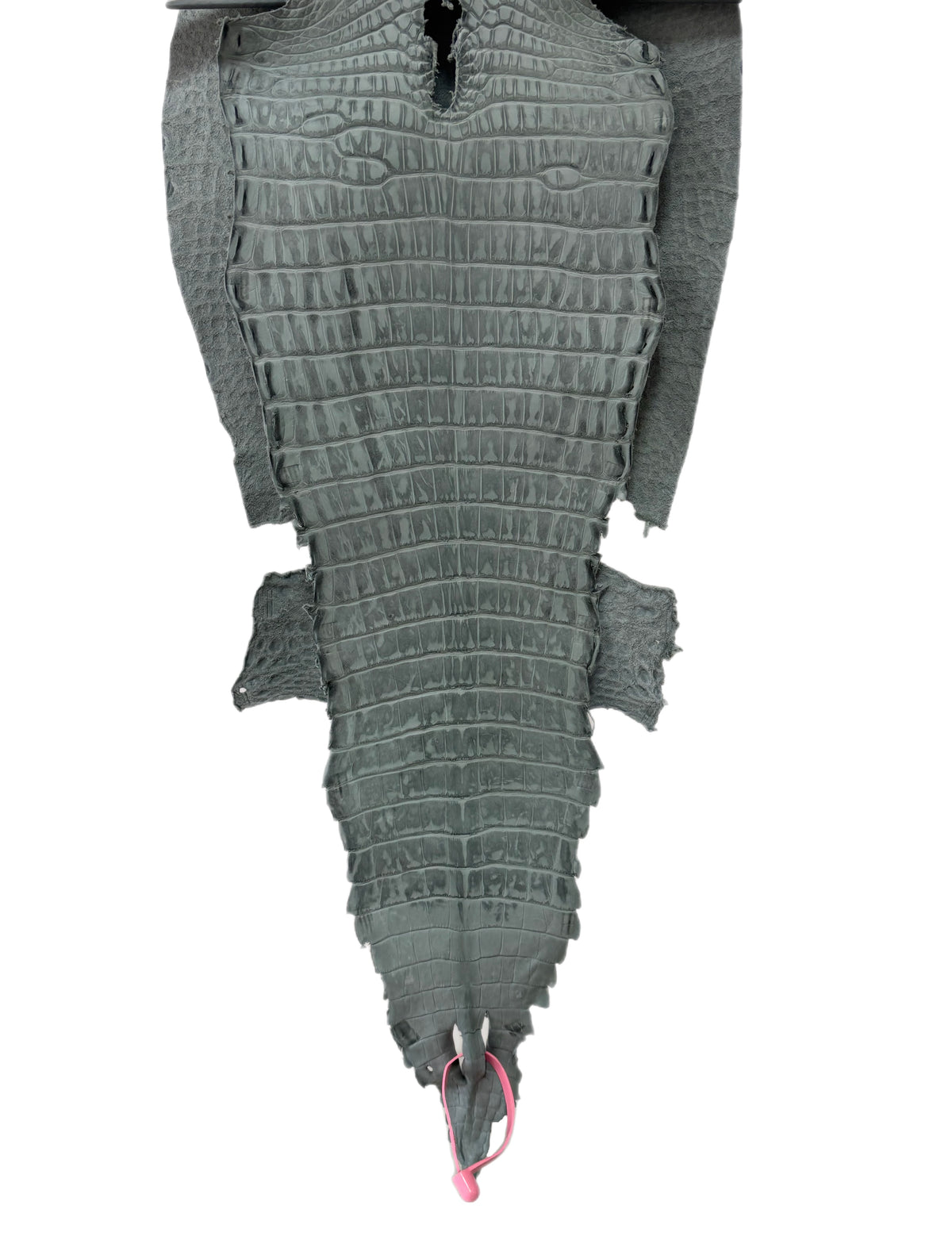 New Color and Finish! 29 cm Grade 1/2 Charcoal Grey Nubuck Farm-Raised American Alligator Leather - Tag: FL21-0024464