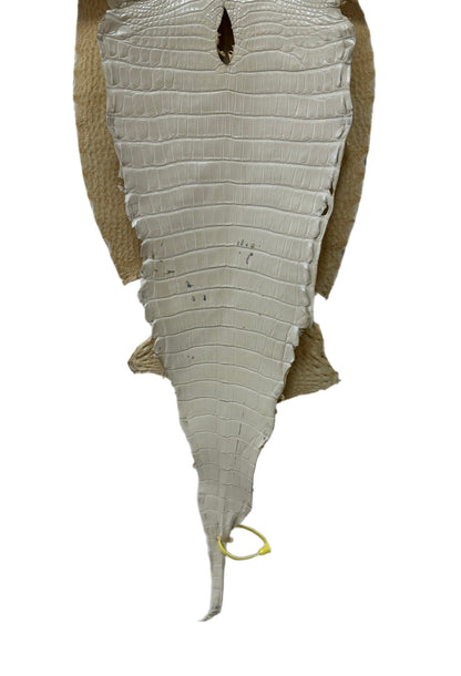 35 cm Grade 2/3 White Pearl Matte Farm-Raised American Alligator Leather - Tag: LA25-0316391