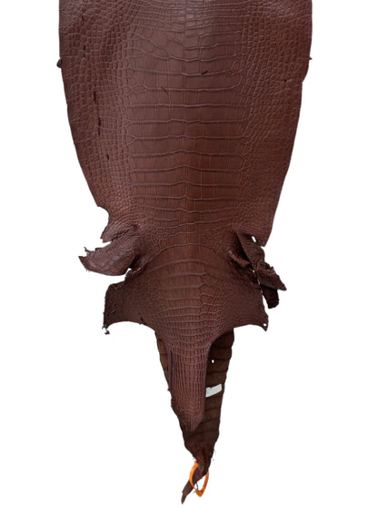 38 cm Grade 4/5 Chesnut Matte Wild American Alligator Leather - Tag: LA23-0051758