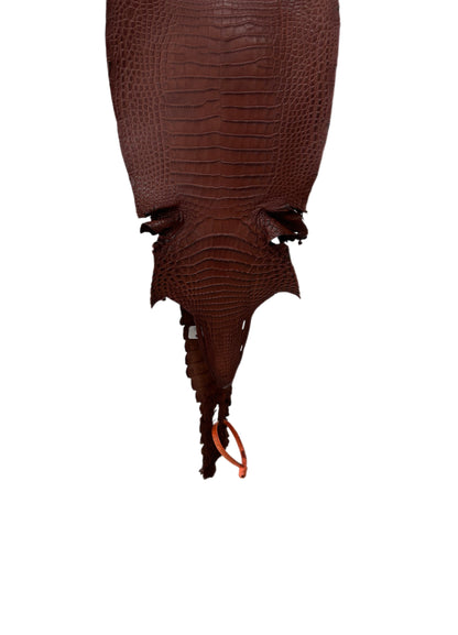 23 cm Grade 1/2 Italian Gold Matte Farm-Raised American Alligator Leather - Tag: FL21-0024725
