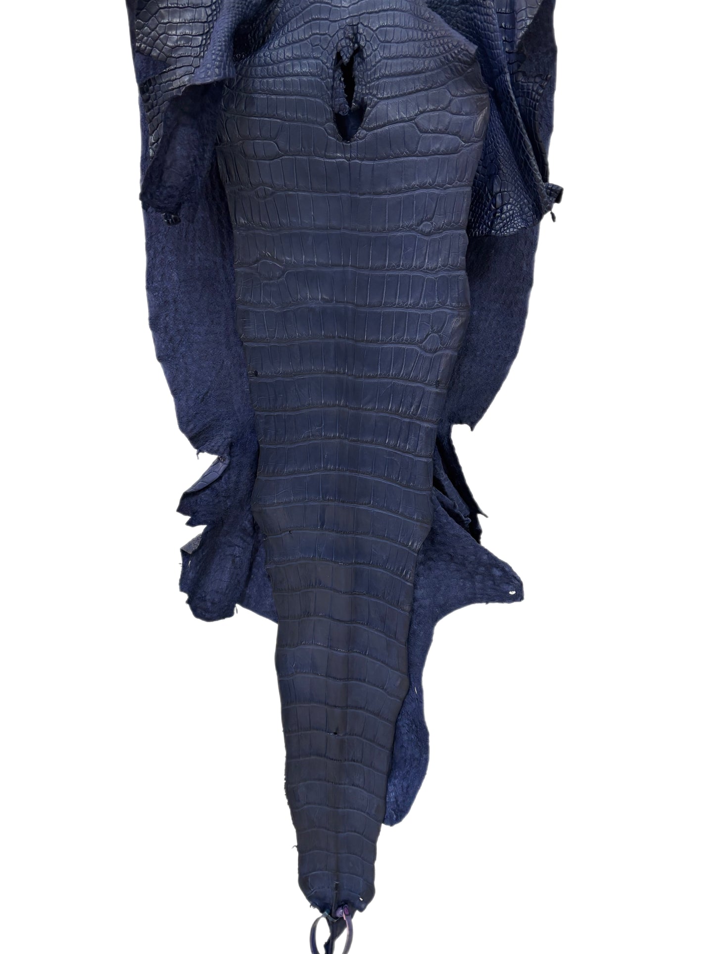 39 cm Grade 1/2 Navy Blue Desert Wild American Alligator Leather - Tag: LA24-0019049