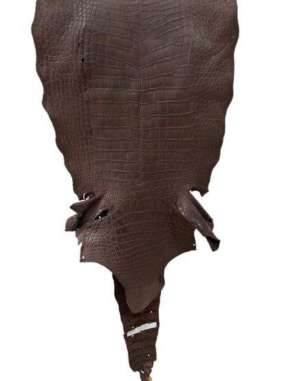 43 cm Grade 4/5 Chocolate Matte Wild American Alligator Leather - Tag: LA23-0002008