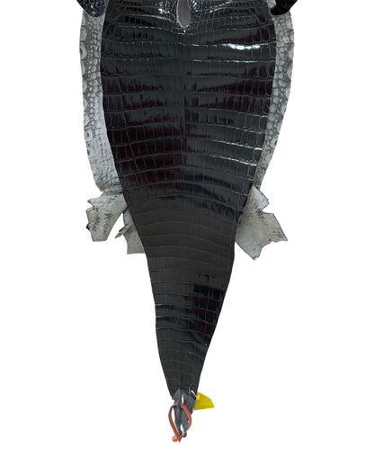 33 cm Grade 2/3 Grey Glazed Farm-Raised American Alligator Leather - Tag: GA14-0008041