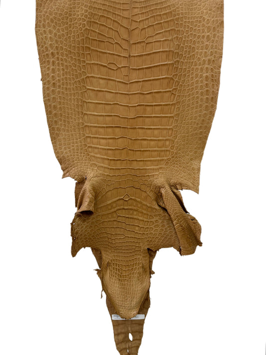 41 cm Grade 2/3 Antique Saddle Matte Wild American Alligator Leather - Tag: LA16-0035541