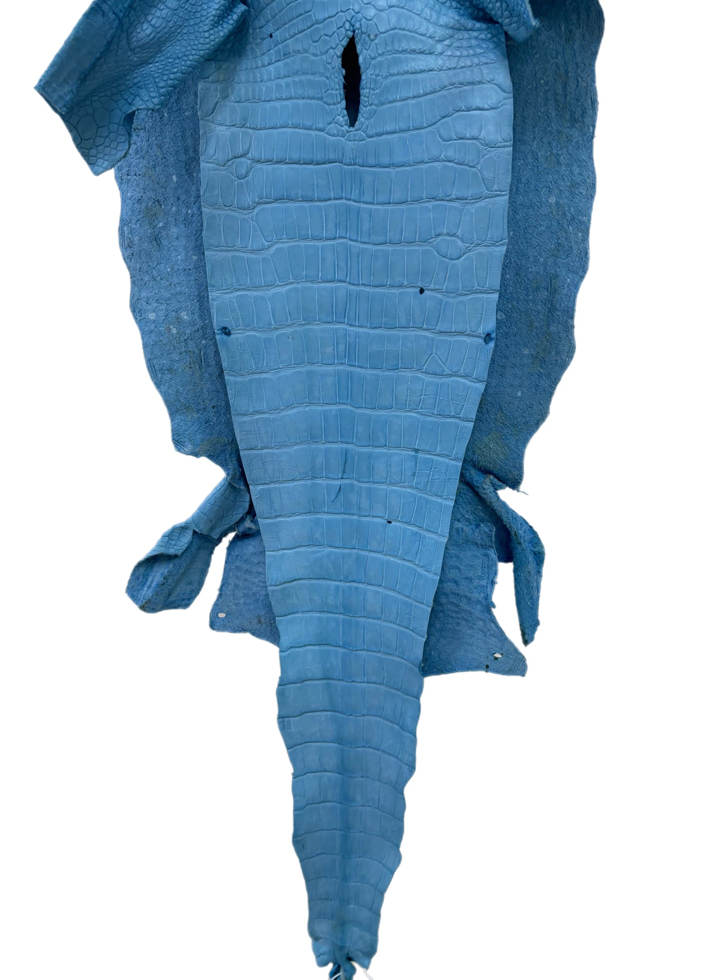 36 cm Grade 2/3 Sky Blue Matte Wild American Alligator Leather - Tag: LA23-0003432