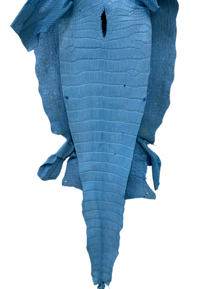 36 cm Grade 2/3 Sky Blue Matte Wild American Alligator Leather - Tag: LA23-0003432